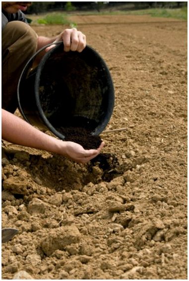 Как подготовить почву для сада