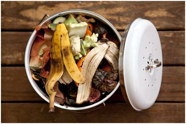 10 советов, как избегать пищевых отходов дома