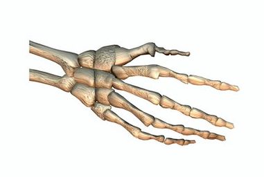 Как нарисовать руку-скелет