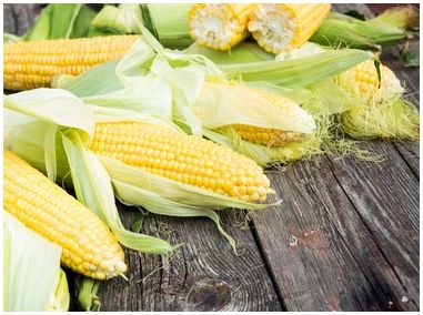 Различия между кукурузой и кукурузой