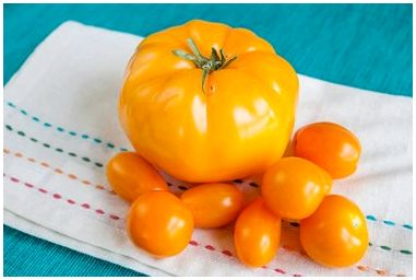 Лучшие помидоры с низким содержанием кислоты