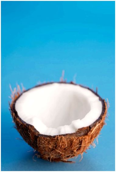 Четыре стадии кокоса
