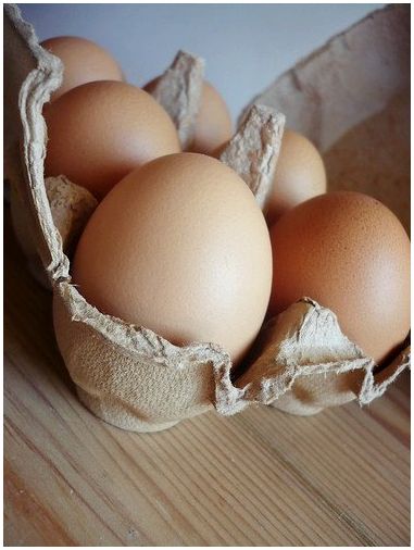 Из чего сделаны яичные коробки?