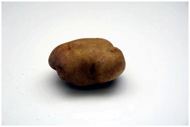 Как сделать костюм картофеля