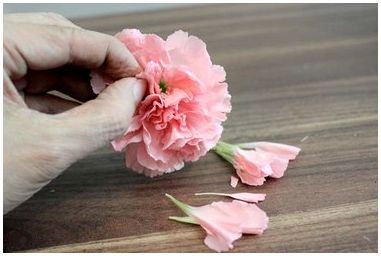 Как создать красивые, экономящие деньги цветы ко Дню святого Валентина