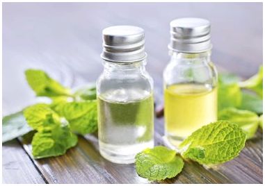 Как приготовить эфирное масло мяты перечной Как приготовить эфирное масло мяты перечной