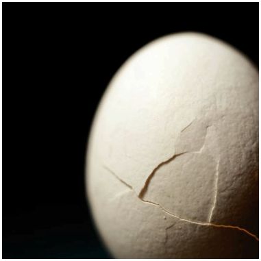 Как уронить яйцо, используя только бумагу и скотч?
