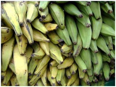 Виды бананов подорожника