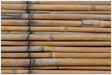 Как избавиться от плесени на бамбуке