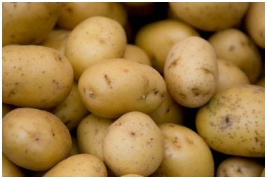 Как вырастить картофель в воде