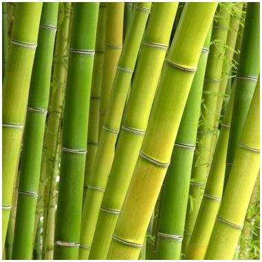 Как сделать бамбуковые корзины
