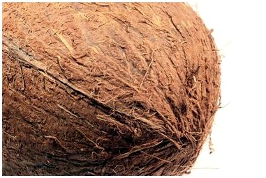 Как использовать кокосовое волокно для посадки