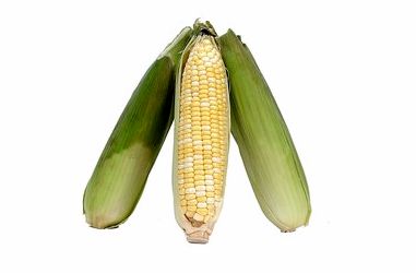 Как коптить кукурузу в початках
