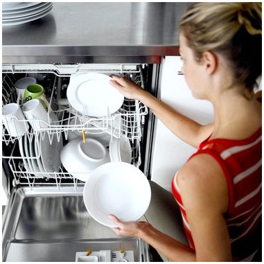 Как избавиться от тараканов в посудомоечной машине