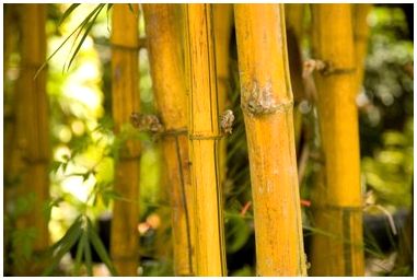 Как сделать искусственный бамбук из ПВХ