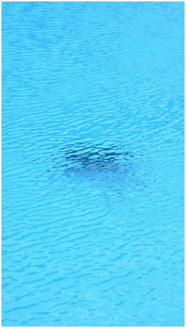 Почему хлор рассеивается в бассейне