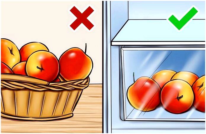 Как сохранить фрукты и овощи свежими дольше: 14 способов