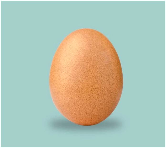 Какие виды яиц есть