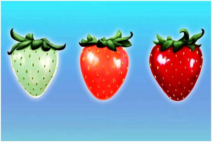 Какие фрукты могут созревать сами по себе и почему это происходит