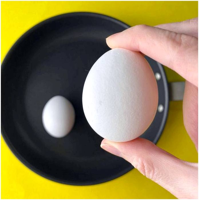В чем разница между жареным и вареным яйцом и какое из них полезнее?