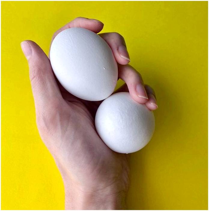 В чем разница между жареным и вареным яйцом и какое из них полезнее?